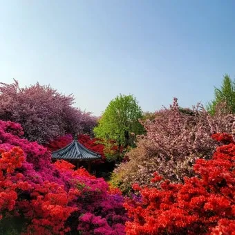 전주 완산칠봉 꽃동산 등산로 벙커 코스_16