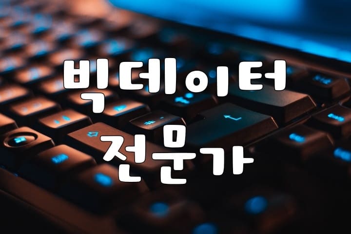 빅데이터 전문가