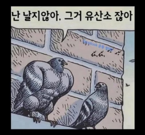  헬창 뜻 특징 패션 헬린이와 삶을 비교하자 나는 어디에?