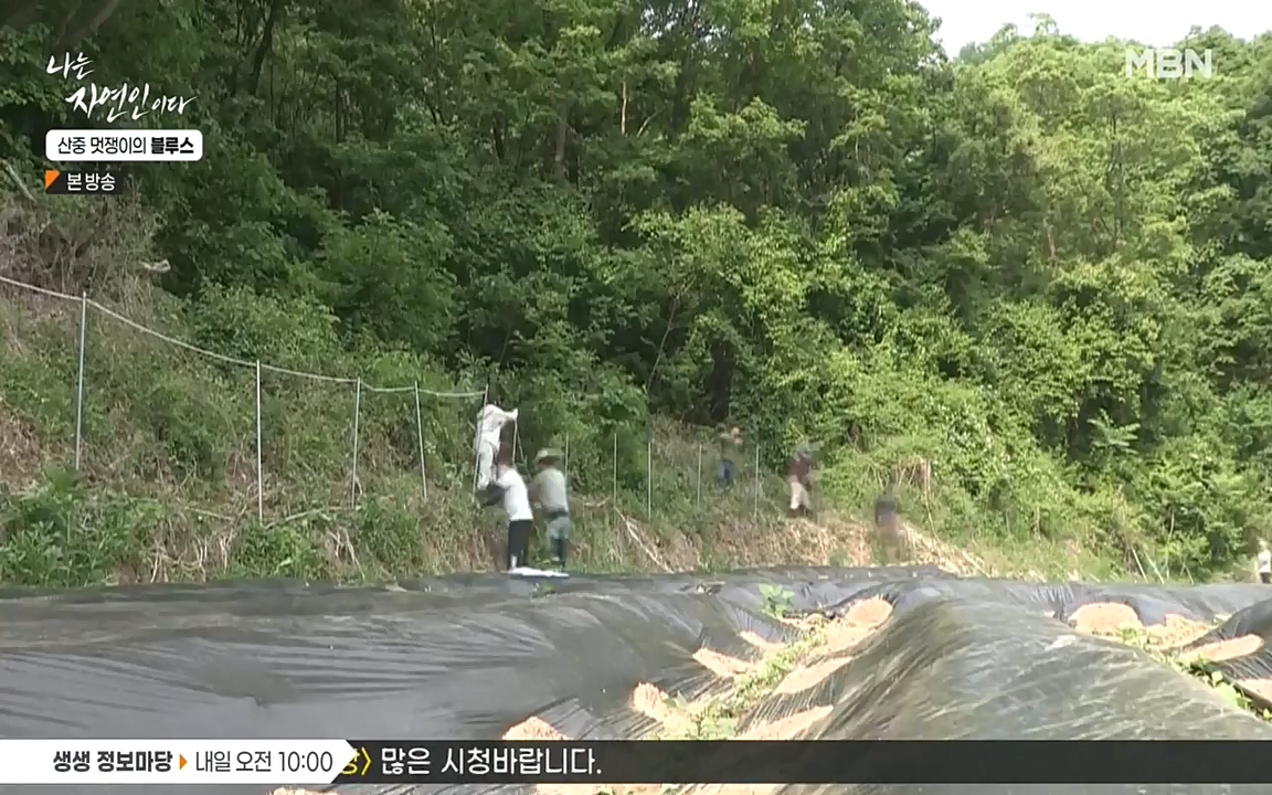 나는 자연인이다.E505.220609p-NEXT.mp4_20220609_200159.556.jpg