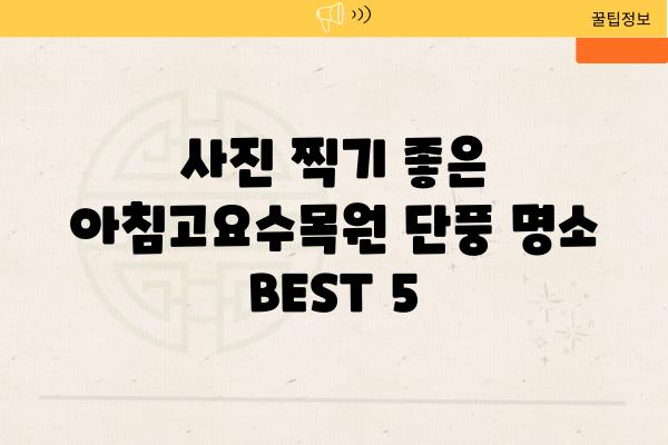 사진 찍기 좋은 아침고요수목원 단풍 명소 BEST 5