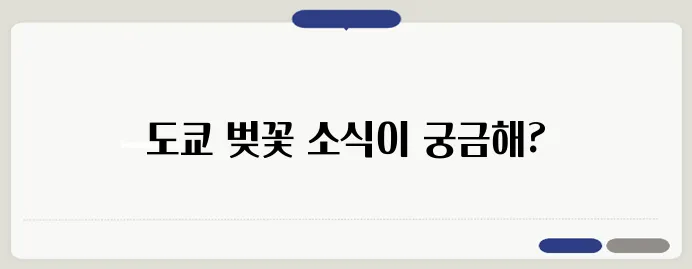 도쿄 벚꽃 개화시기 및 벚꽃축제 일정 안내