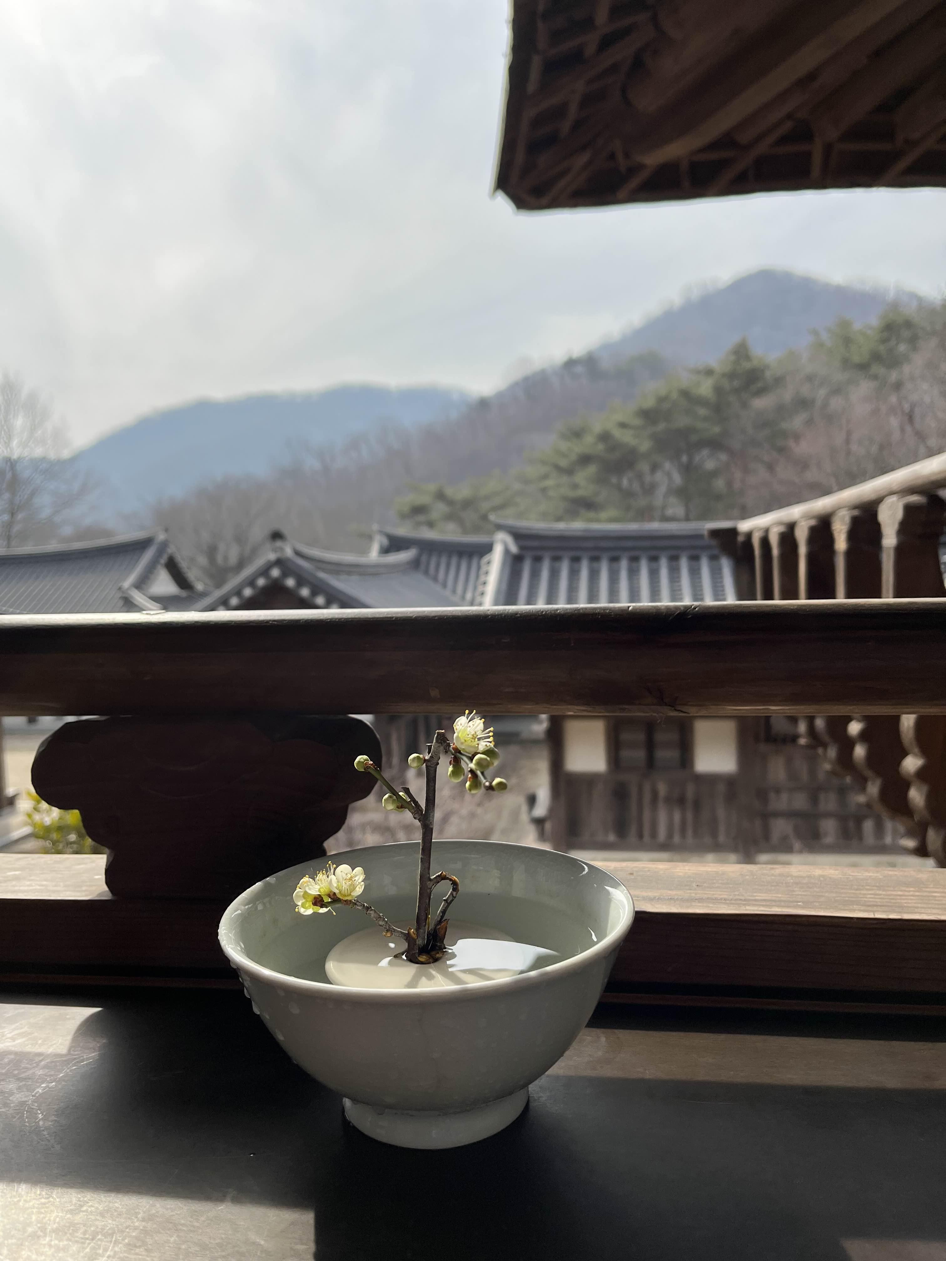 순천전통야생차체험관 전경