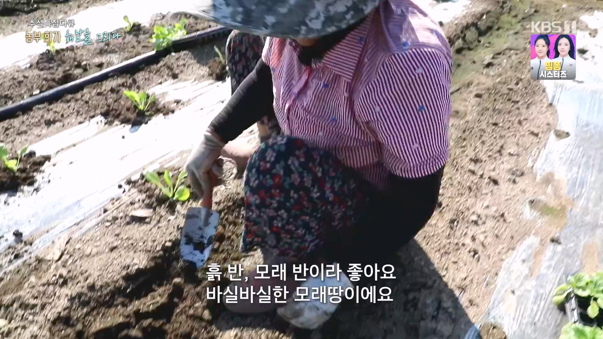 추석 특집 다큐 2부 - 농부화가 해남을 그리다.E02.230929p-NEXT.mp4_20231002_172246.343.jpg