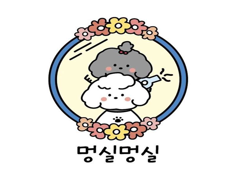 1호선 회룡역 애견미용 잘하는 곳 BEST4 | 무료 상담 | 후기 확인 | 예약하기 | 혜택 받기 | 인기 샵 총정리 - 3. 멍실멍실 소개 - 3.1 주의 사항 3.1 주의 사항
