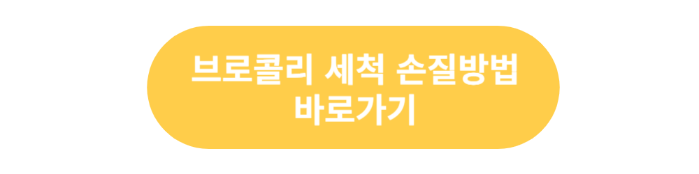 브로콜리 세척 손질방법 바로가기