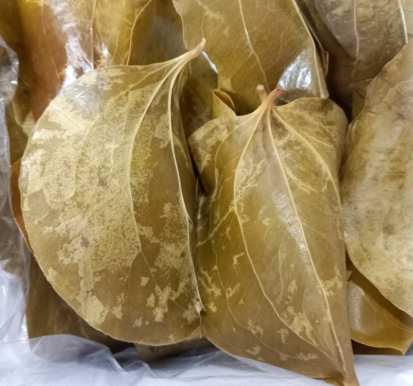  [의령 망개떡] 쫄깃! 특유의 맛과 향 살아있네