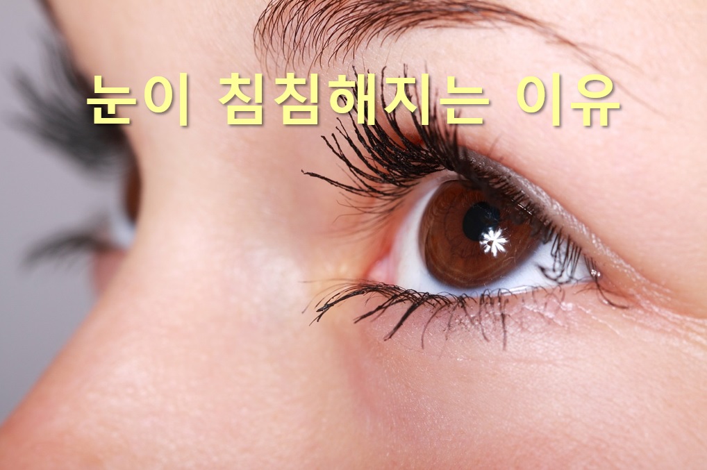  눈이 침침해지는 이유와 눈이 침침하고 피곤한 증상