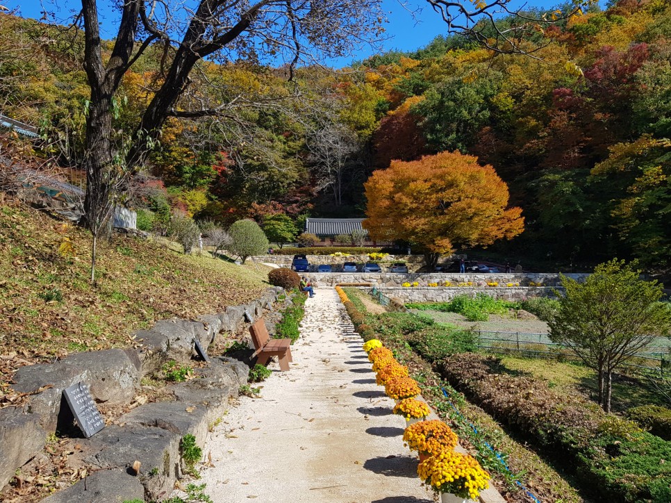 장소! 칠불사의 가을 풍경을 감상하세요:) 하동칠불사의 가을 멋진 자태를 품은 32