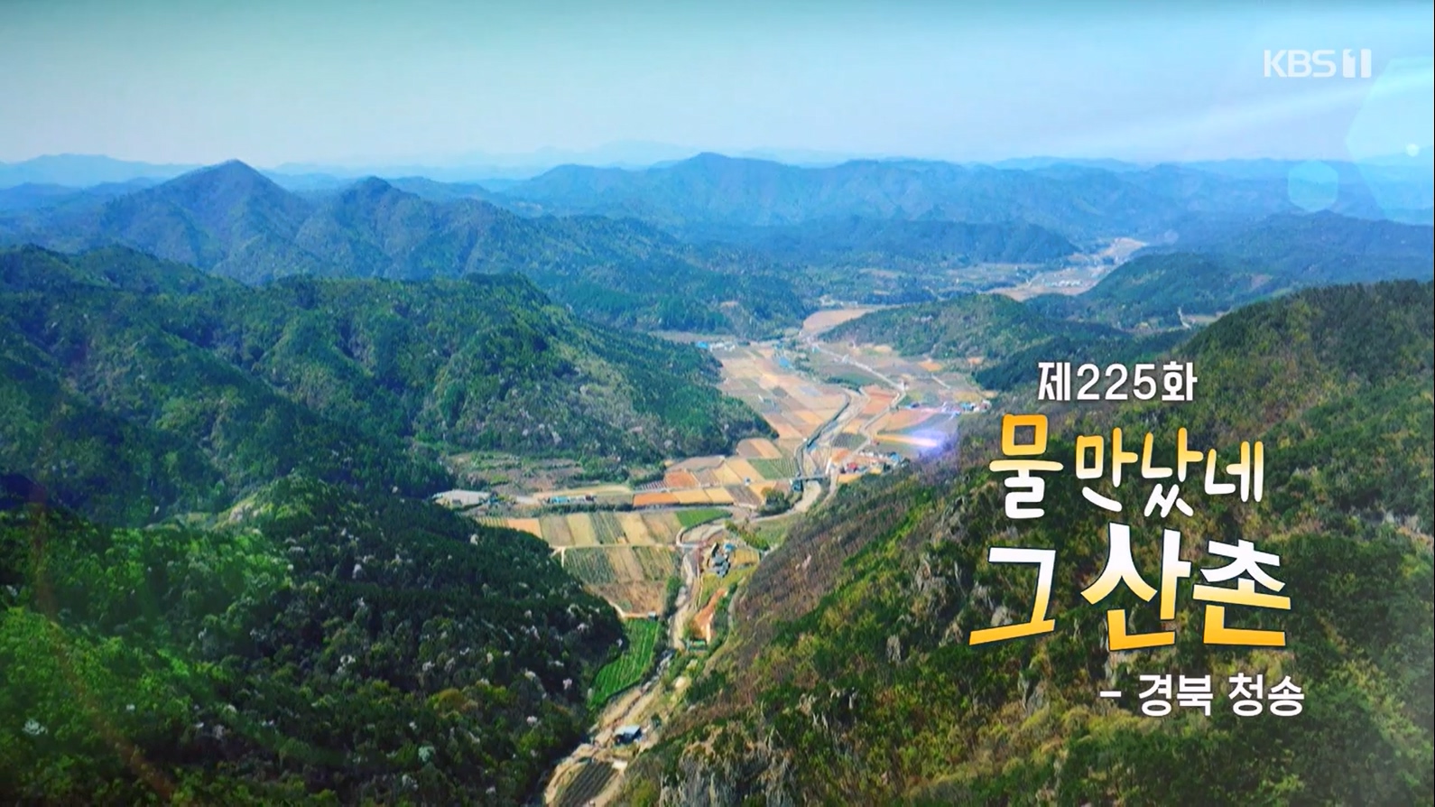 동네 한 바퀴.E228.230618p-NEXT.mp4_20230621_211314.269.jpg