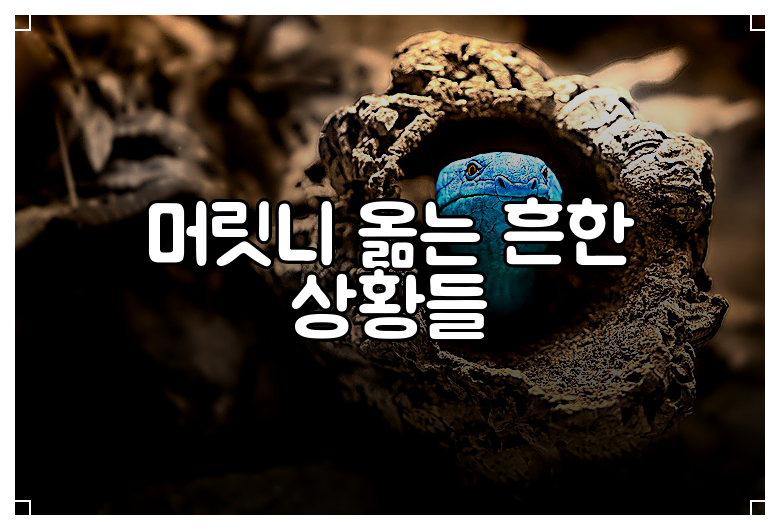 머릿니 옮는 흔한 상황들