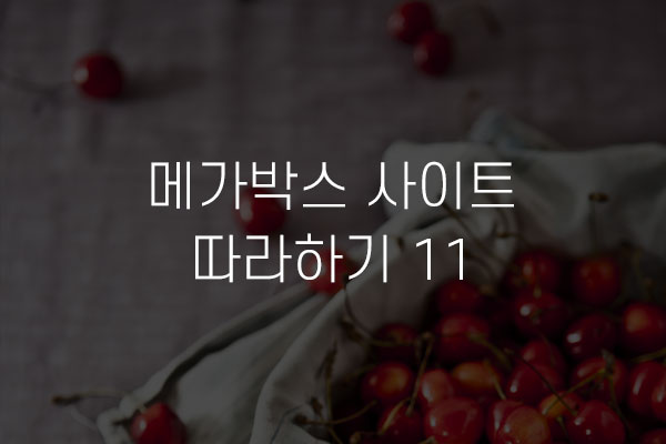  메가박스 사이트 따라하기 11 이벤트 영역