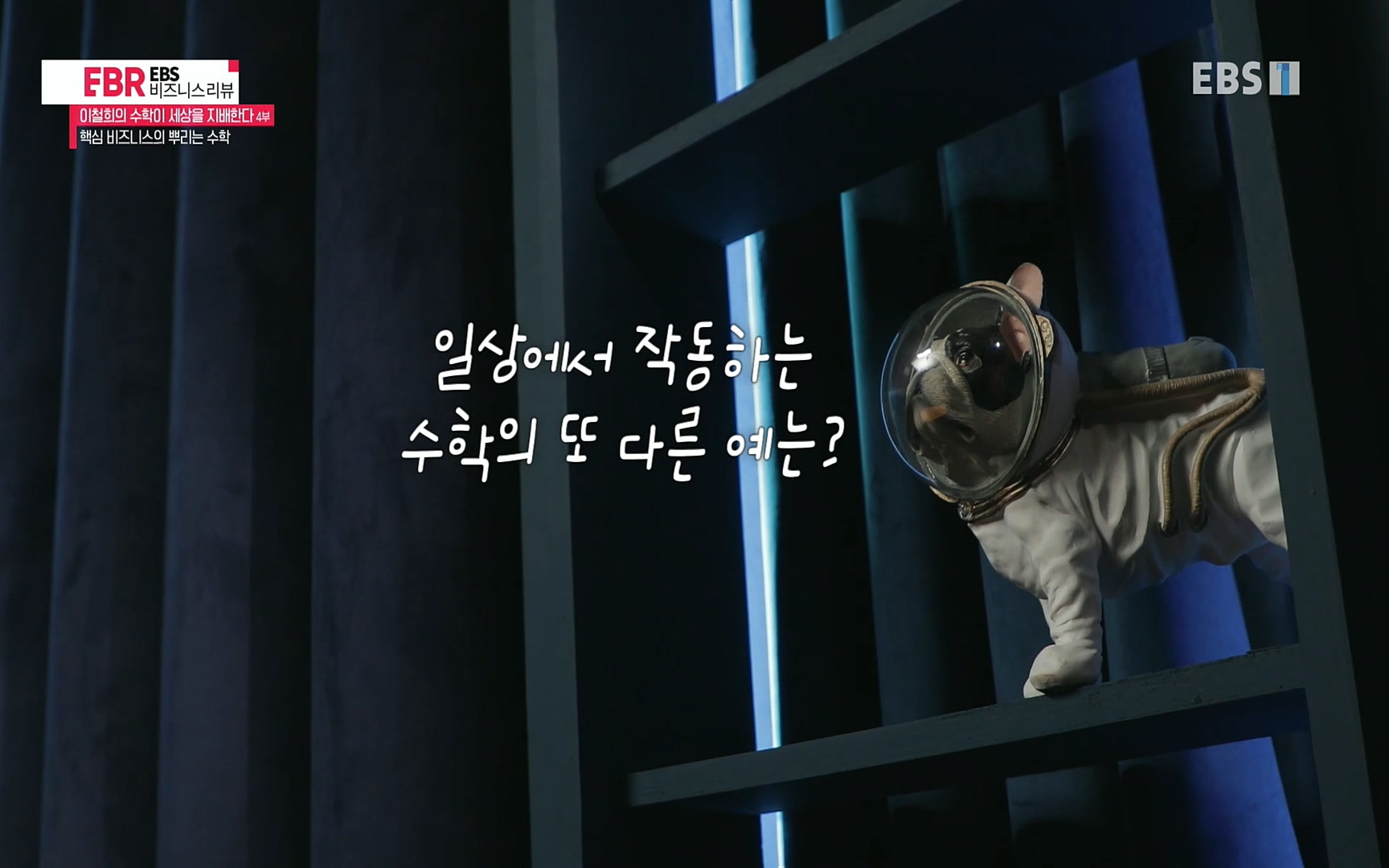 EBR - EBS Business Review이철희의 수학이 세상을 지배한다 - 4부 핵심 비즈니스의 뿌리는 수학.mp4_20220719_203111.103.jpg