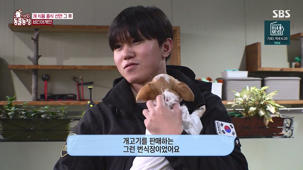 TV 동물농장.E1187.240902p-NEXT.mp4_20240901_155505.125.jpg