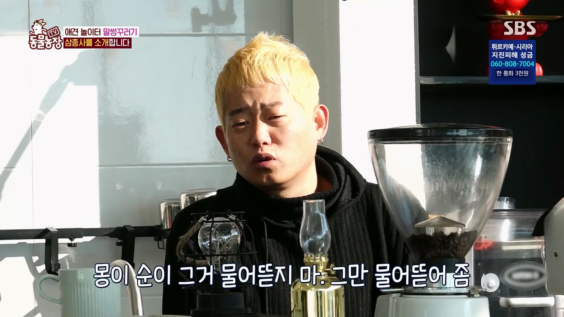 TV 동물농장.E1109.230219p.H264-F1RST.mp4_20230219_142818.825.jpg