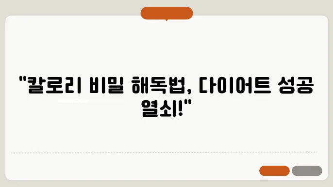 다이어트를 위한 일일 칼로리 계산 방법