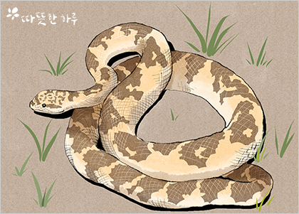  숲 속의 주인공(With 따뜻한 하루)