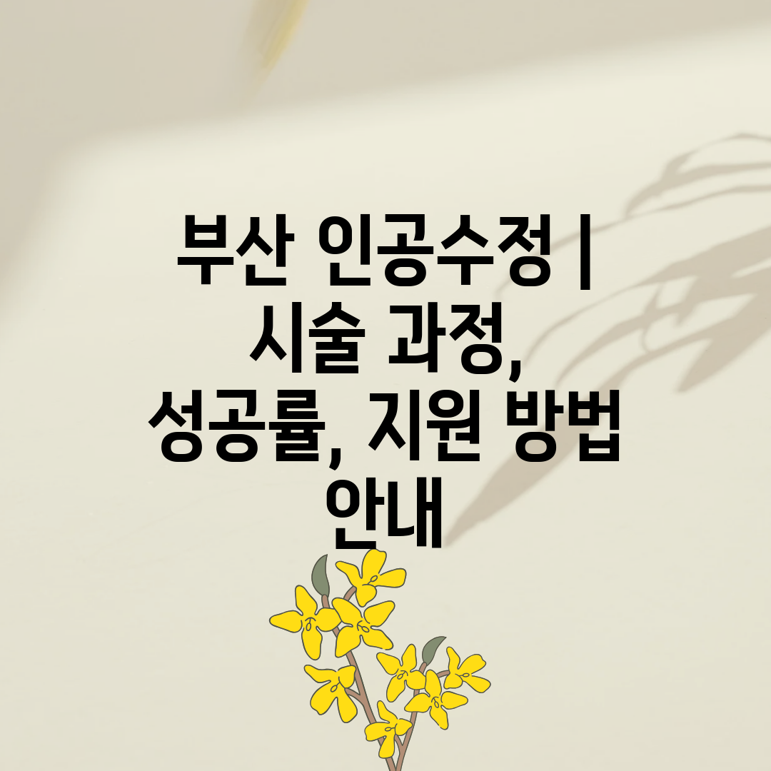 부산 인공수정  시술 과정, 성공률, 지원 방법 안내