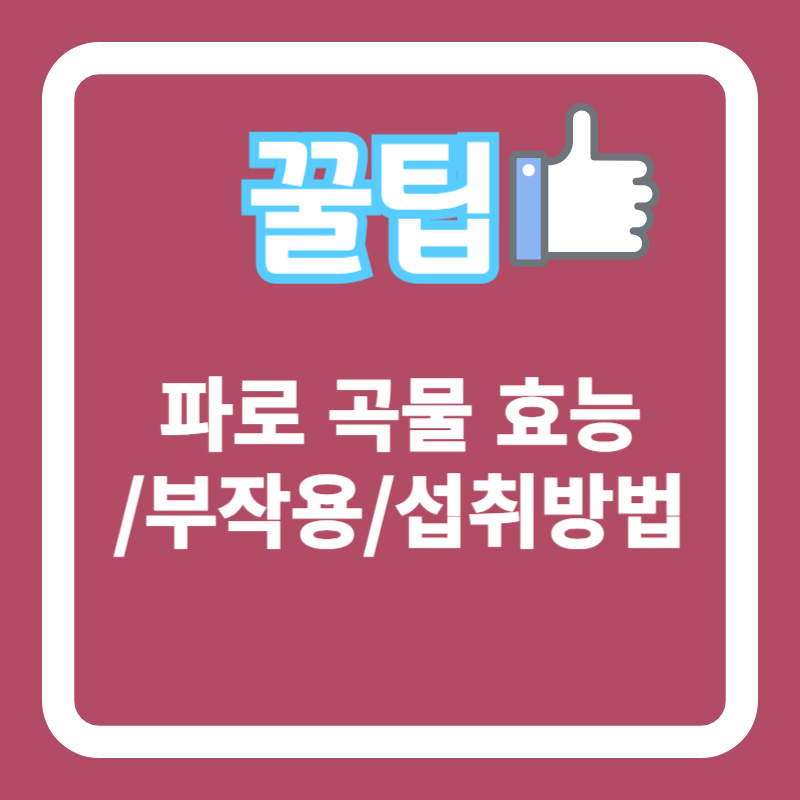 파로 곡물 효능/부작용/섭취 방법