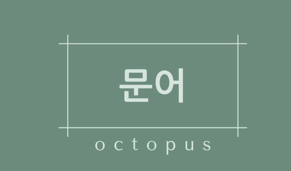 문어(octopus)