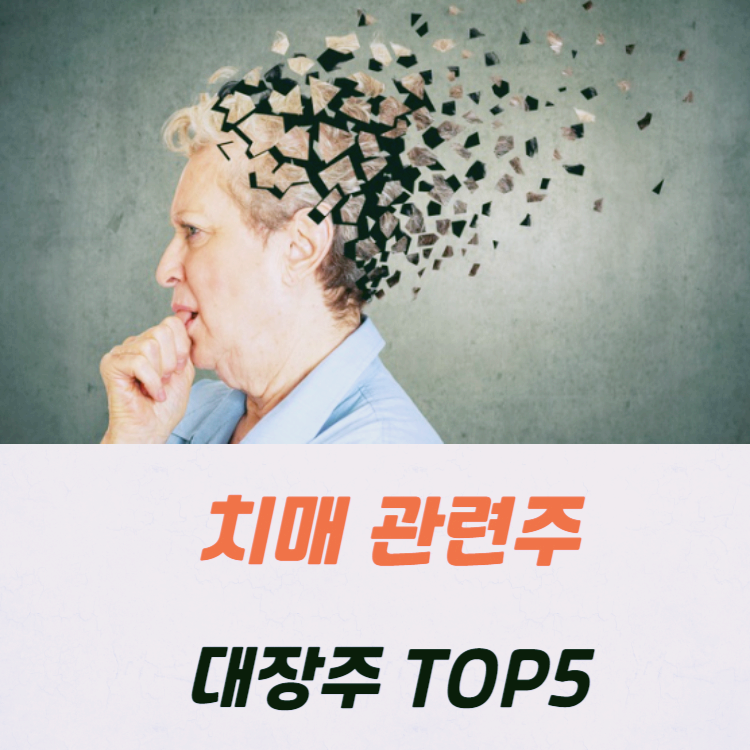 치매 관련주 대장주 수혜주 테마주 TOP5