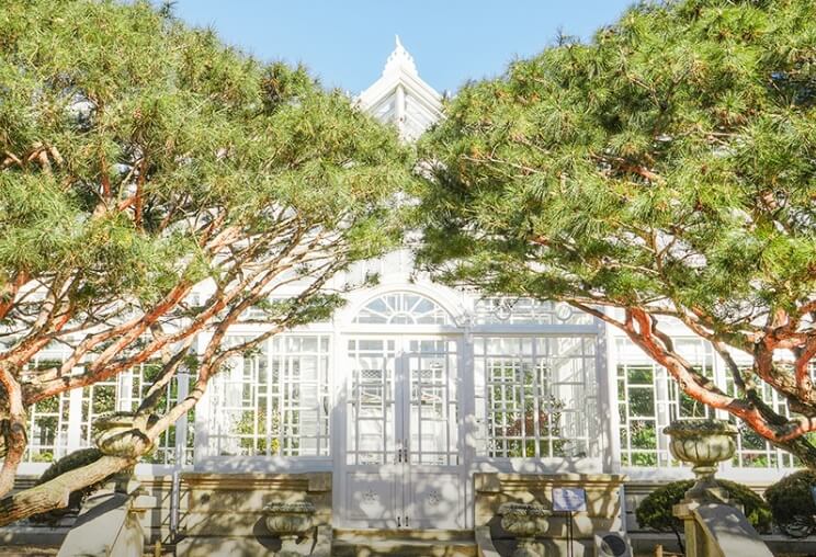 서울근교 겨울 여행지 온실 식물원