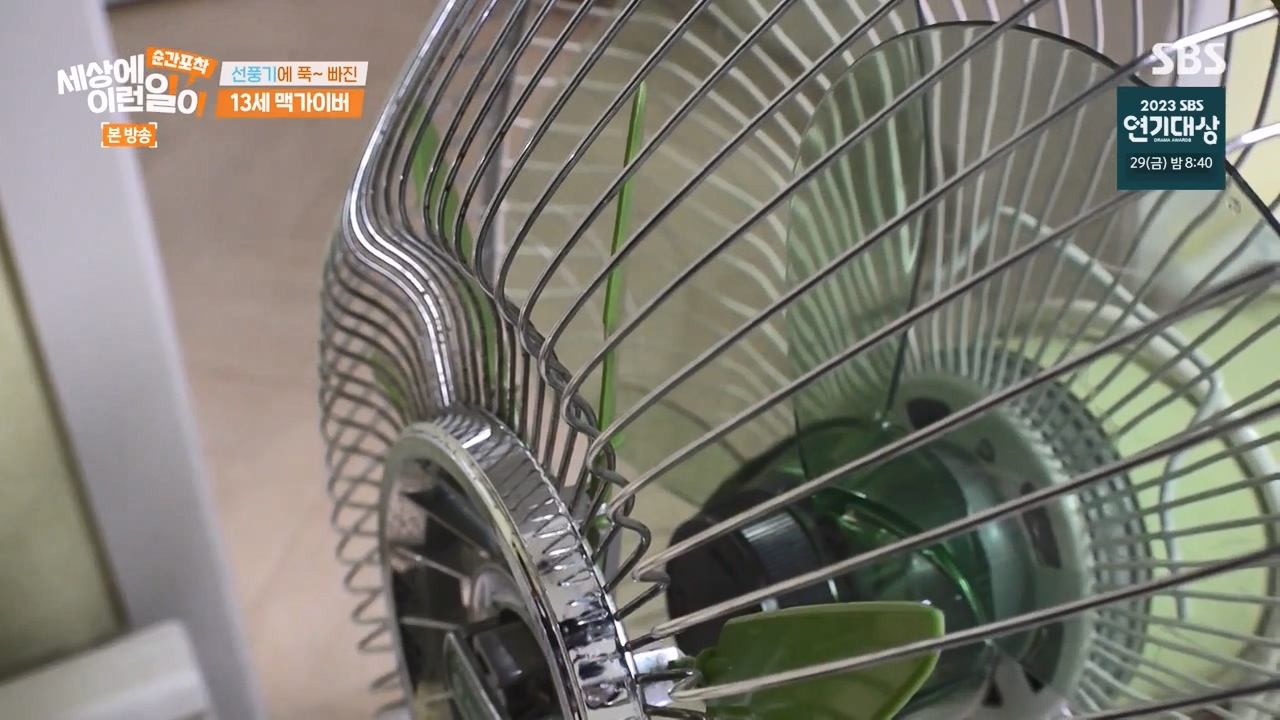 순간포착 세상에 이런일이.E1256.231217p-NEXT.mp4_20231217_172209.357.jpg