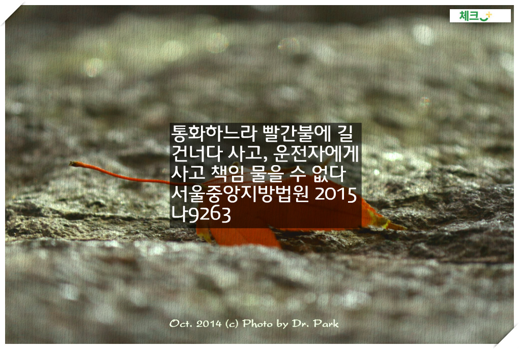 통화하느라 빨간불에 길 건너다 사고, 운전자에게 사고 책임 물을 수 없다