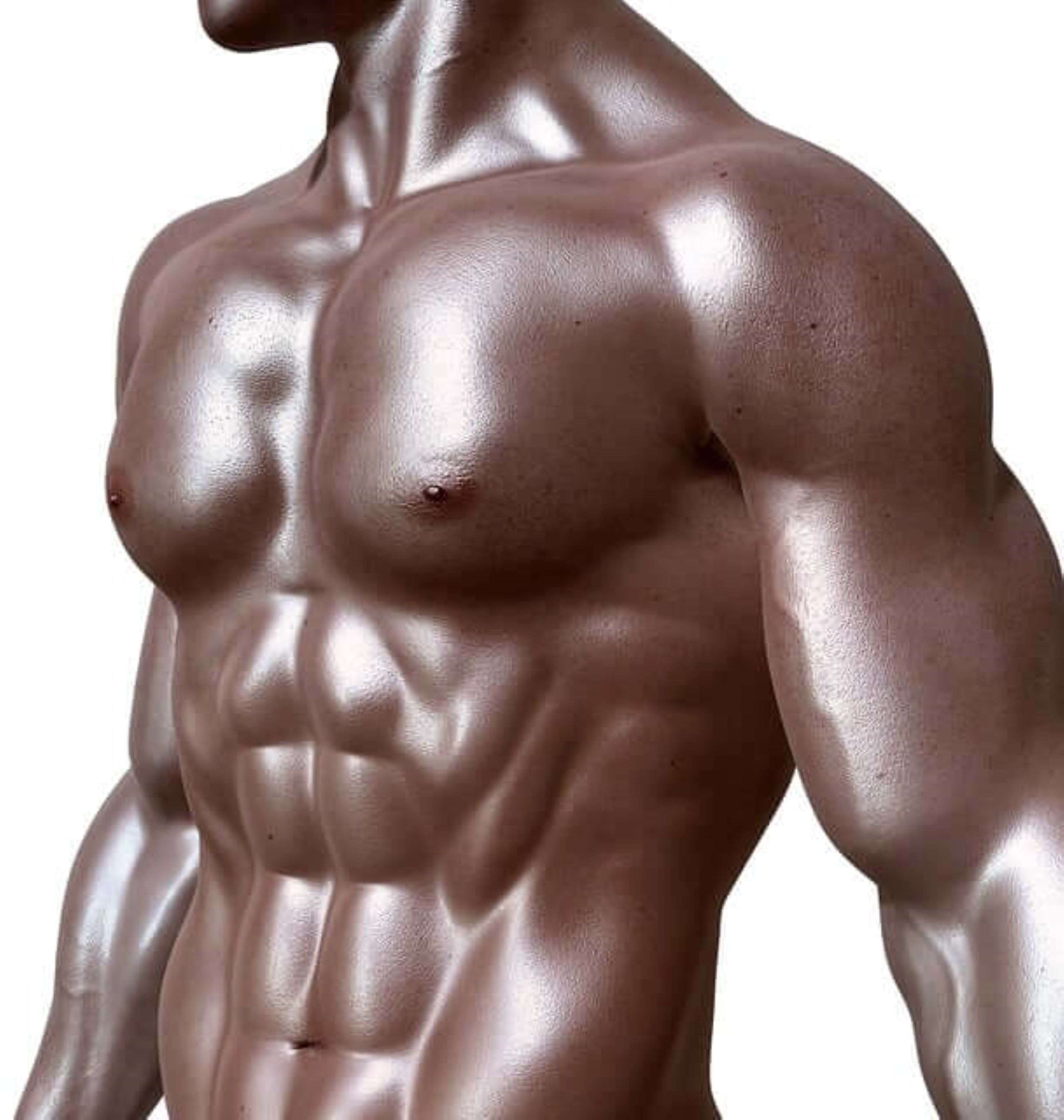 헬스트레이너 사진