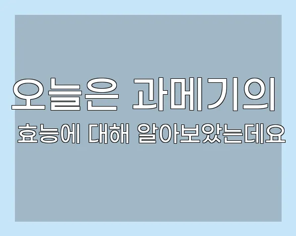 오늘은 과메기의 효능에 대해 알아보았는데요