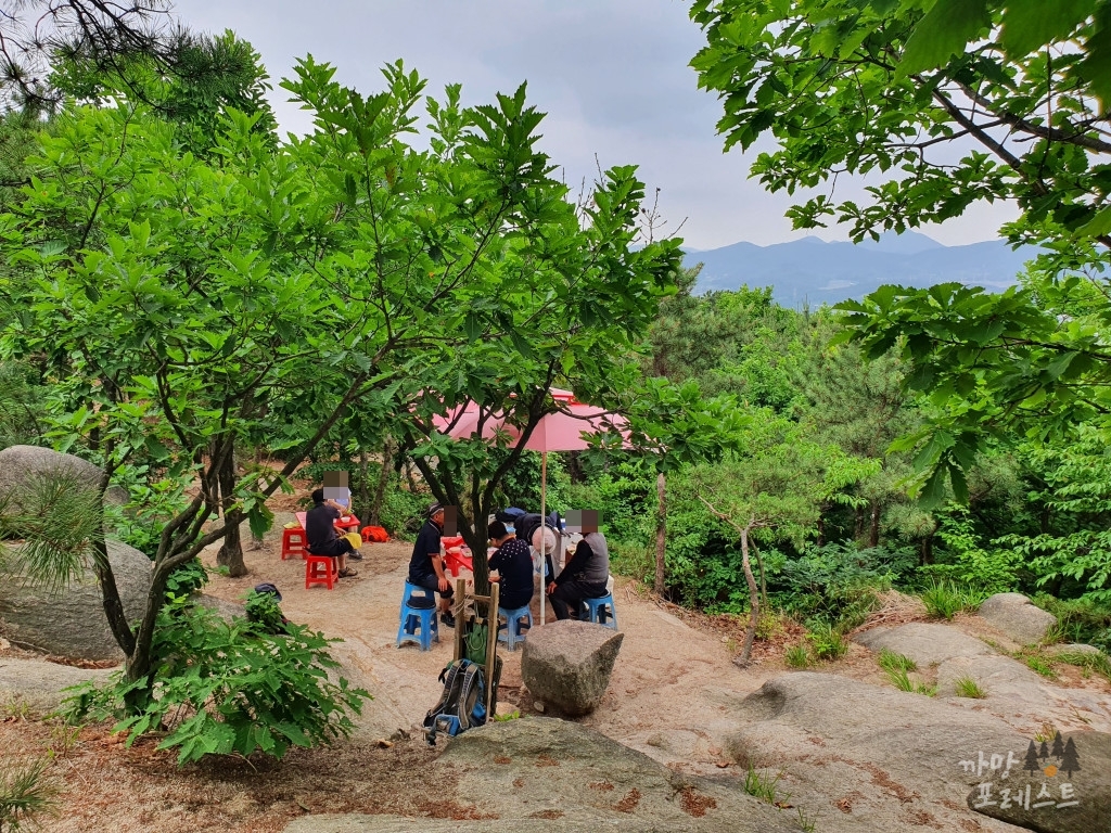 칠보산 정상부