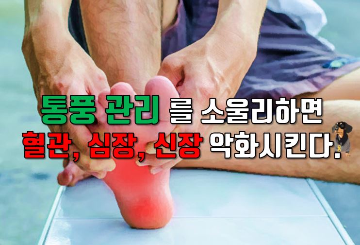  황제의 병 "통풍 관리" 를 소울리하면 혈관, 심장,신장을 악화시킨다.