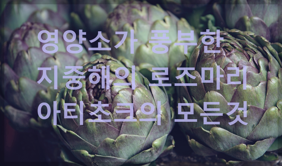  아티초크 : 풍부한 영양소를 간직한 지중해의 로즈마리