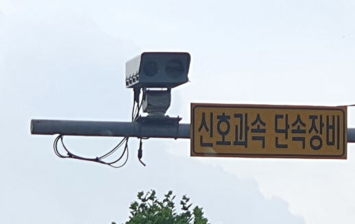교통법규 위반 과태료