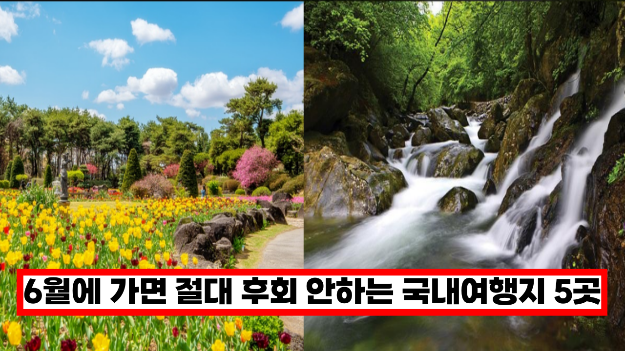  6월 ~ 7월 초여름에 가면 절대 후회 안하는 국내여행지 베스트 5 (+푸른숲, 계곡, 바다, 여름 축제)