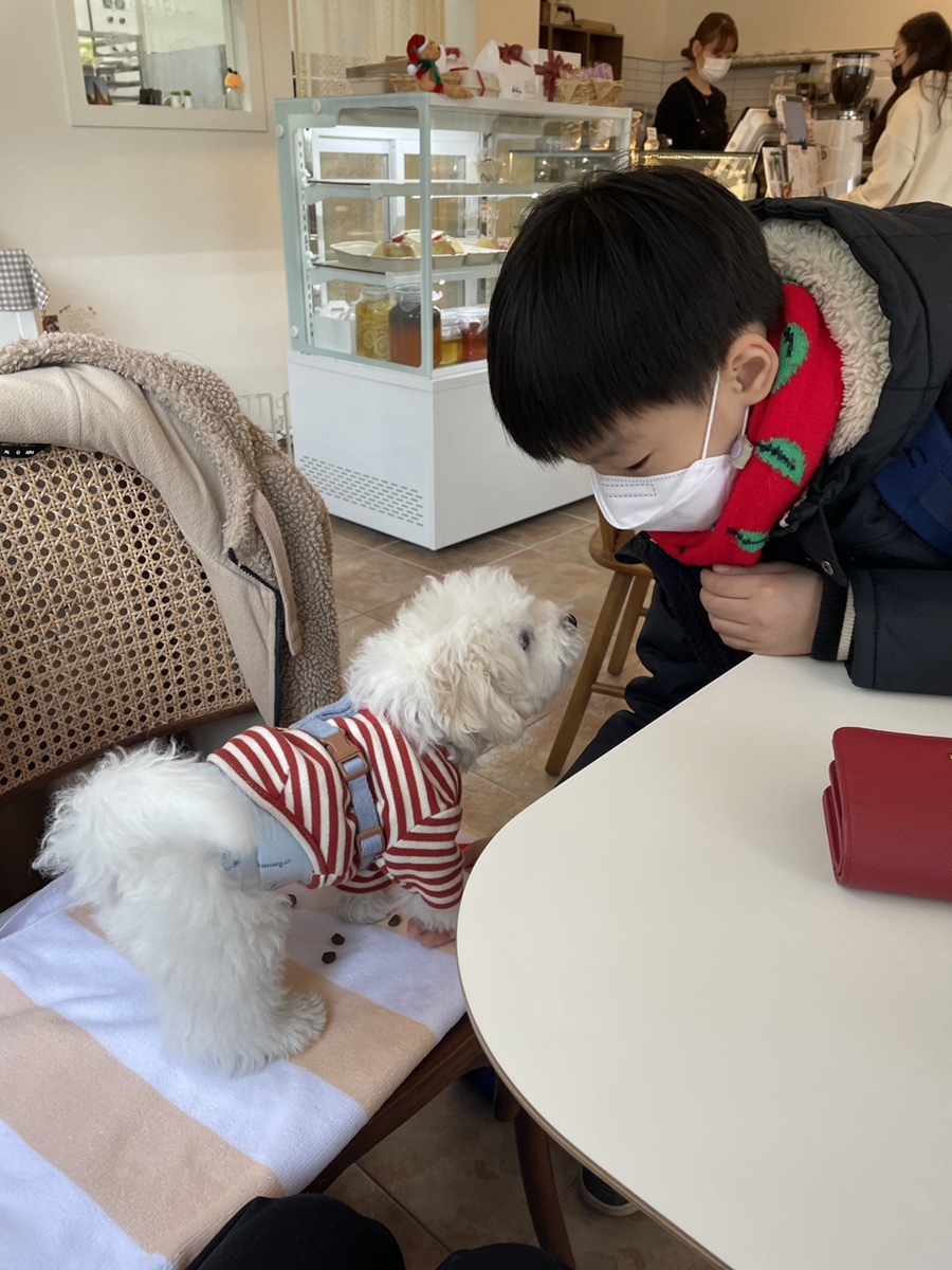 자매카페 이미지