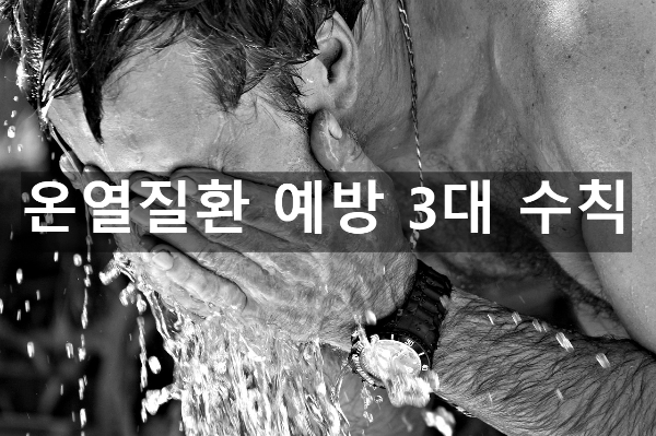  온열질환 예방 3대 수칙 간단 정리(물, 그늘, 휴식)