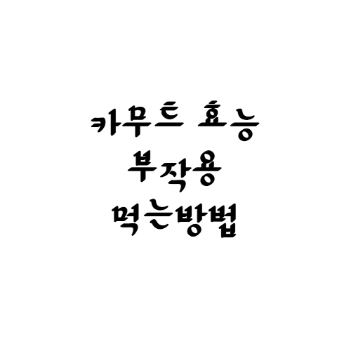 카무트 블로그 썸네일