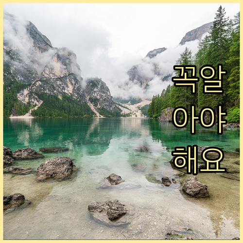 수의사가 알려주는 반려동물 진료 기록