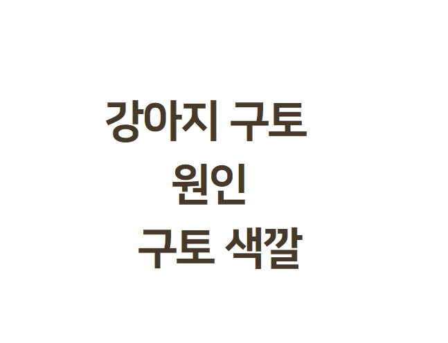  강아지 토 하는 이유  원인  강아지 구토 색깔