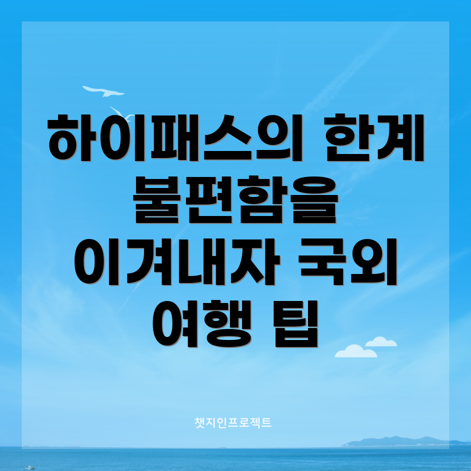 하이패스의 국한성