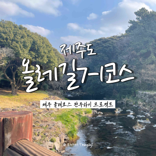  제주 트레킹 여행 | 제주도 올레길 7-1코스(서귀포 버스터미널 - 제주올레 여행자센터) 역방향 완주 후기