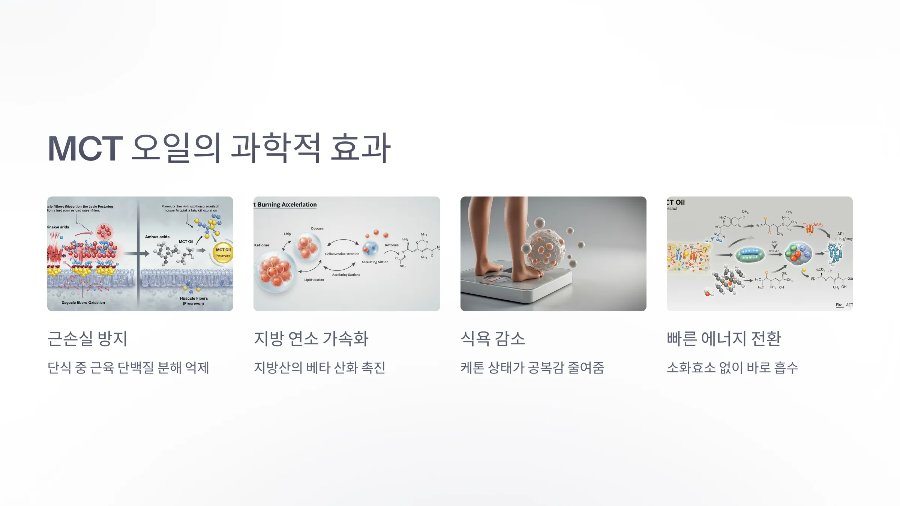 mct오일의 과학적 효과