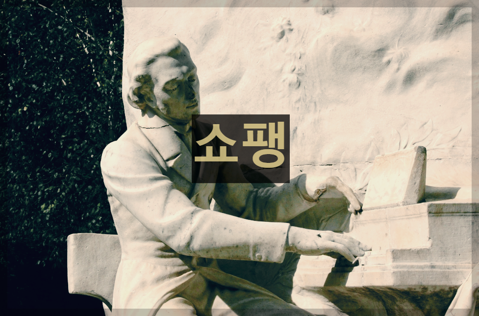  쇼팽 : 시대를 초월한 음악계의 거장