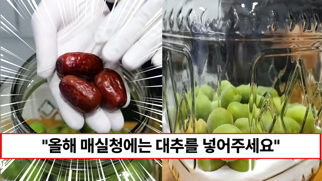 “매실청에는 이것을 넣어주세요” 김대석셰프가 알려주는 매실청 담그는 확실한 비법 1가지