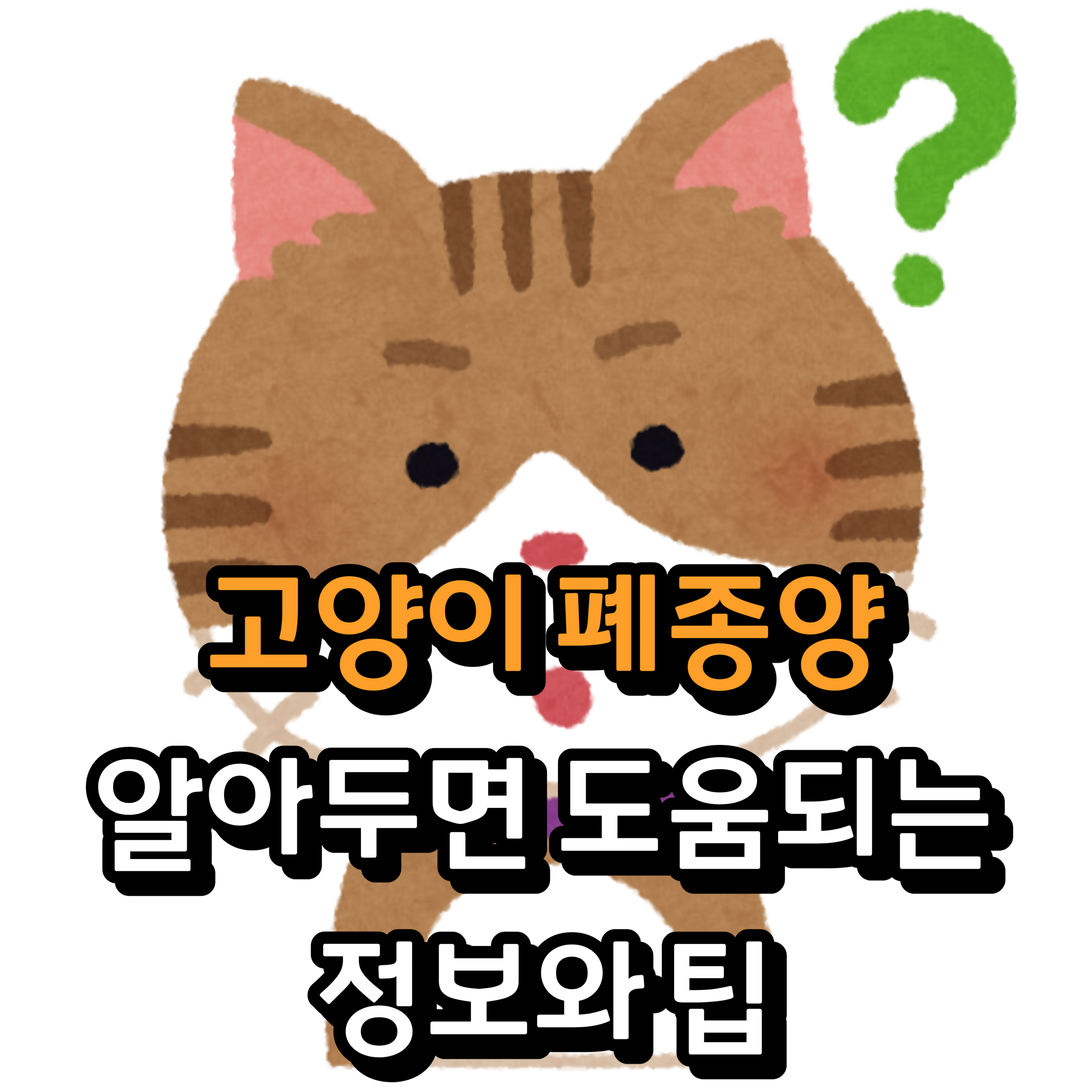  고양이 폐종양: 알아두면 도움되는 정보와 팁