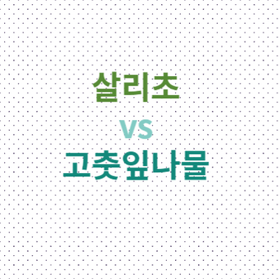  살리초를 먹어야하나 그냥 고추잎나물을 먹어야하나