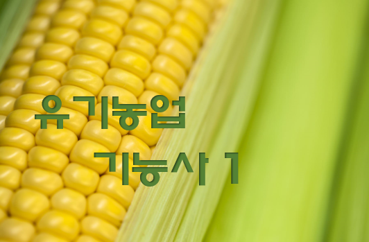  유기농업기능사 전망과 취업 현실 1