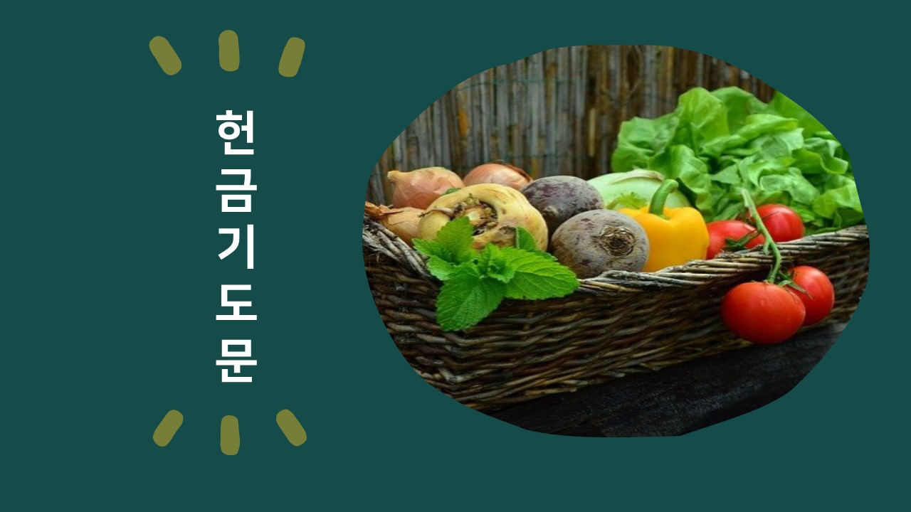  헌금 기도문 모음