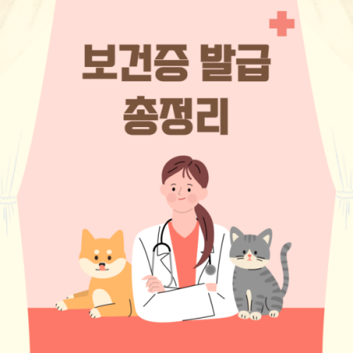  보건증 인터넷 발급 방법 재발급 비용 유효기간 검사항목 생리